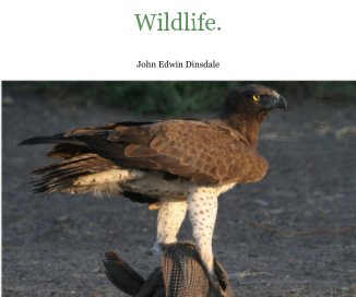 Wildlife. book cover