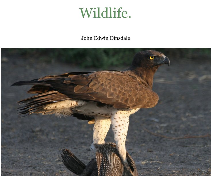 View Wildlife. by John Edwin Dinsdale