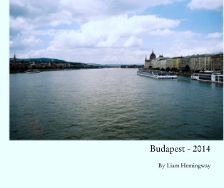 Budapest - 2014 book cover