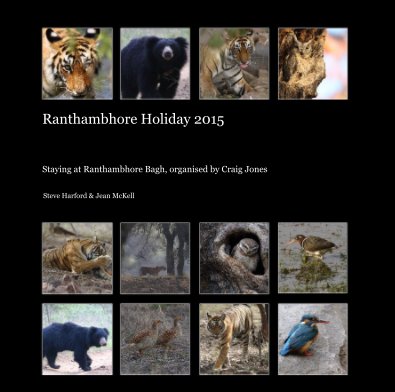 Ranthambhore Holiday 2015 book cover