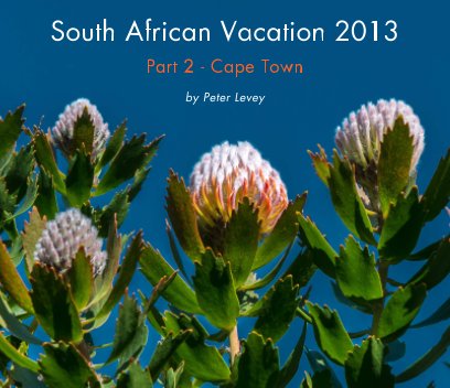South African Vacation 2013 book cover