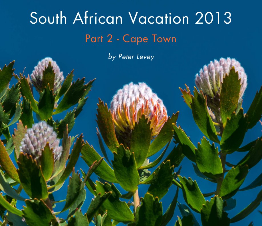 South African Vacation 2013 nach Peter Levey anzeigen
