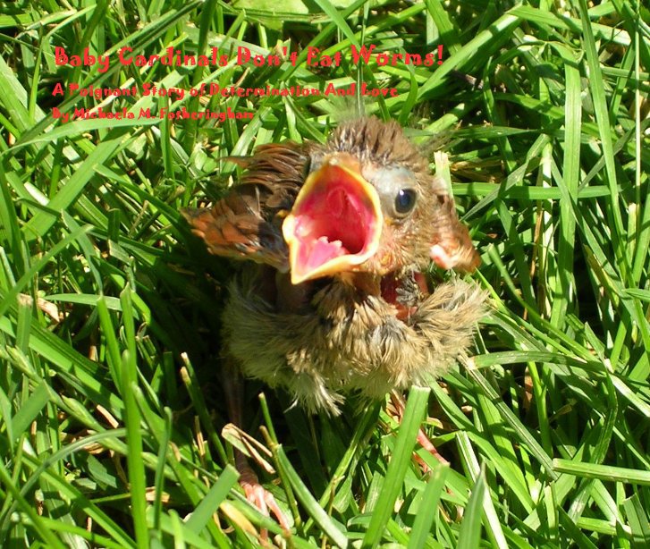 View Baby Cardinals Don't Eat Worms! by Michaela M. Fotheringham