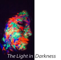 The Light in Darkness book cover