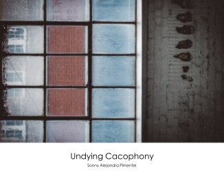 Undying Cacophony book cover