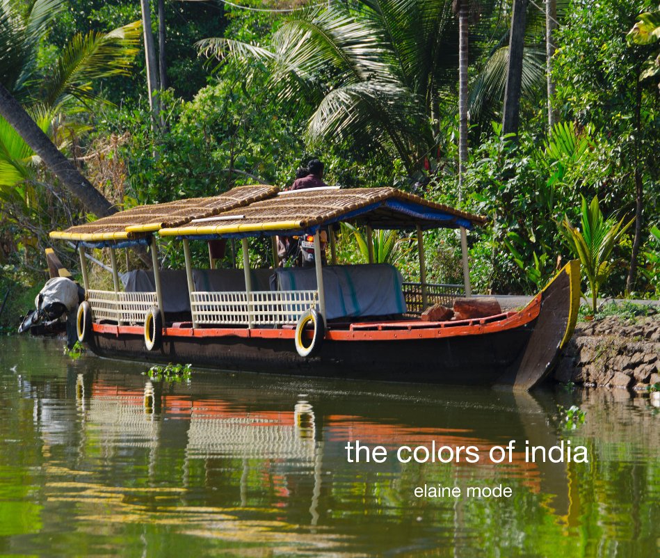 View the colors of india by elaine mode