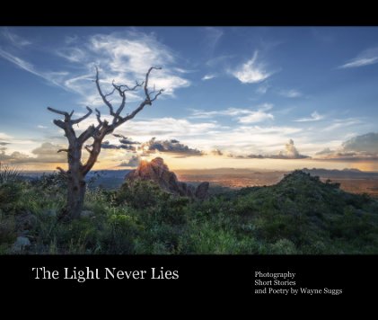 The Light Never Lies book cover