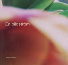 En bildström book cover