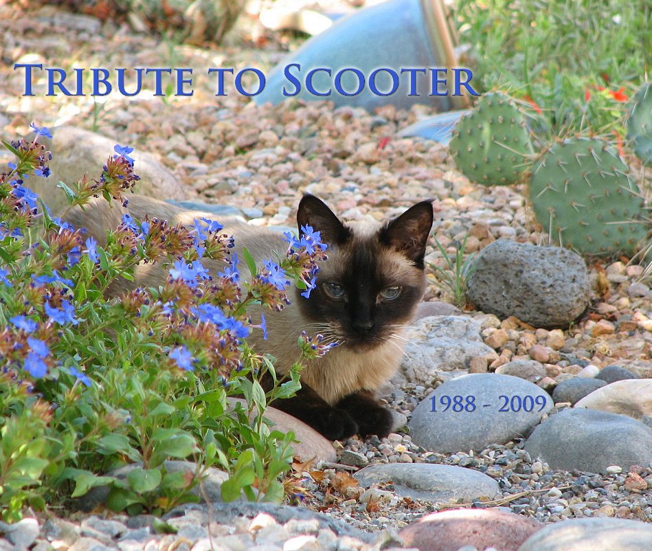 View Tribute to Scooter by Scooter's Friends