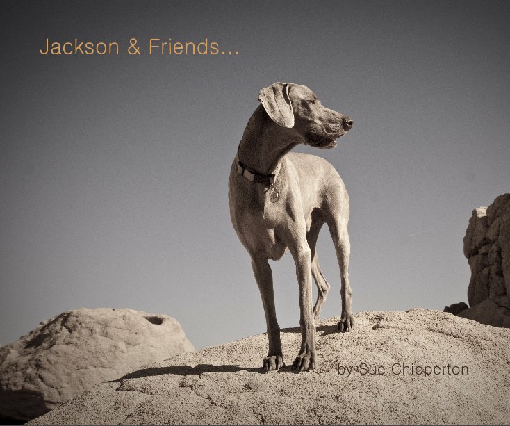 Visualizza Jackson & Friends... di Sue Chipperton
