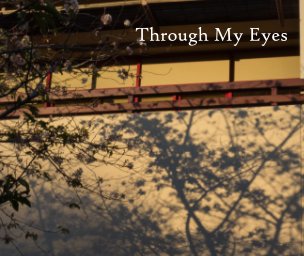 Through My Eyes book cover