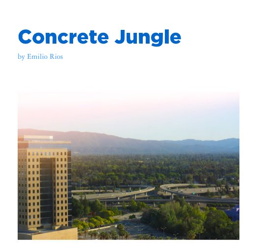 View Concrete Jungle by Emilio Rios