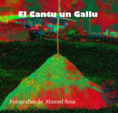 El Cantu un Gallu book cover