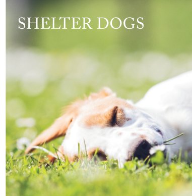 Shelter Dogs book cover