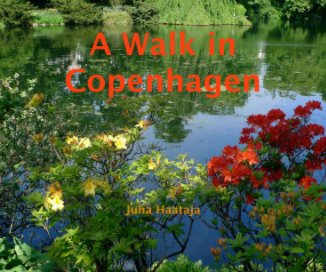 A Walk in Copenhagen book cover
