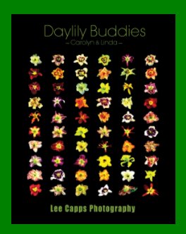 Collector's Edition - Daylily Buddies book cover