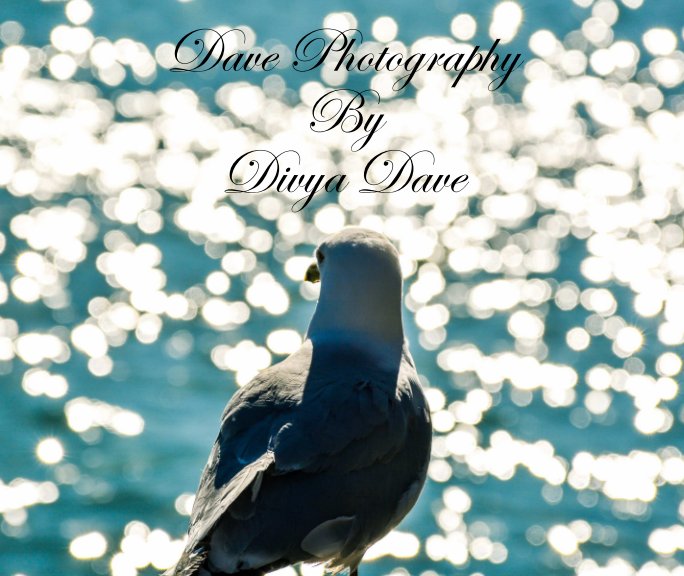 Ver Dave Photography por Divya Dave
