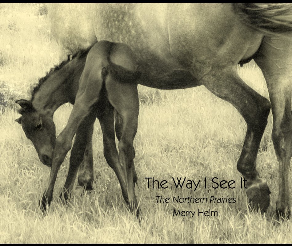 View The Way I See It by Merry Helm