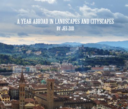 A YEAR ABROAD IN LANDSCAPES AND CITYSCAPES book cover