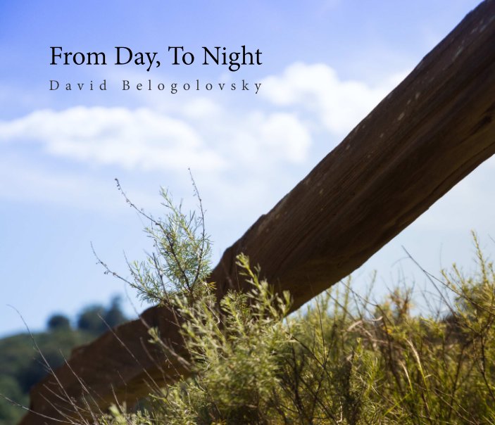 Ver From Day, To Night. por David Belogolovsky