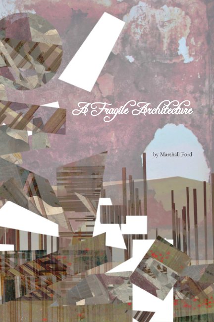 View A Fragile Architecture by Marshall Ford