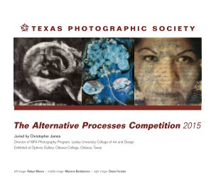 The Alternative Processes Competition 2015 book cover