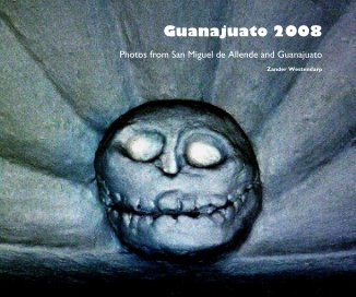 Guanajuato 2008 book cover