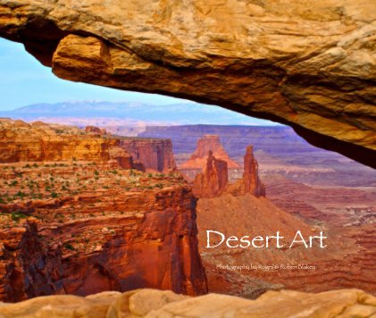 Desert Art Photography book cover