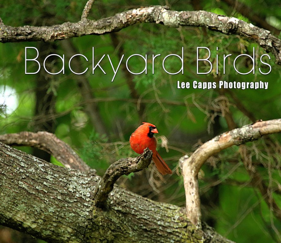 View Collector's Edition - Backyard Birds by Lee Capps Photography