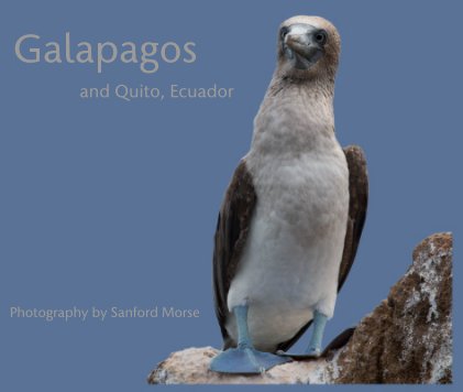 Galapagos and Quito, Ecuador book cover
