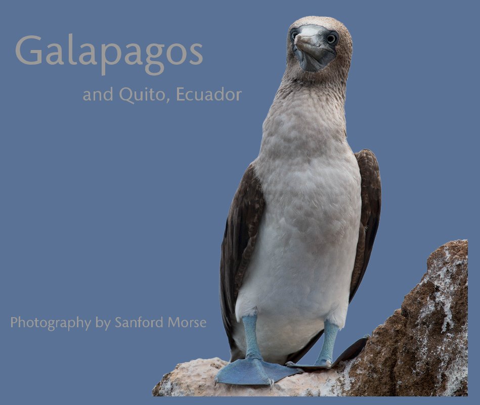 Visualizza Galapagos and Quito, Ecuador di Photography by Sanford Morse