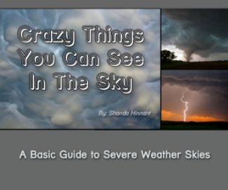 Crazy Things You Can See in the Sky book cover