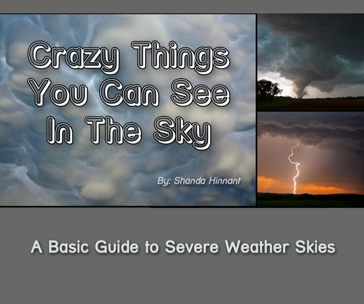 Ver Crazy Things You Can See in the Sky por Shanda Hinnant