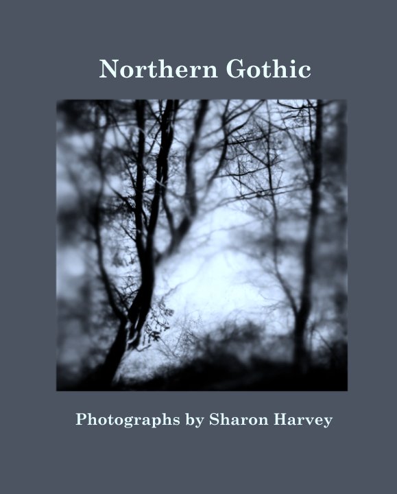 View Northern Gothic by Photographs by Sharon Harvey