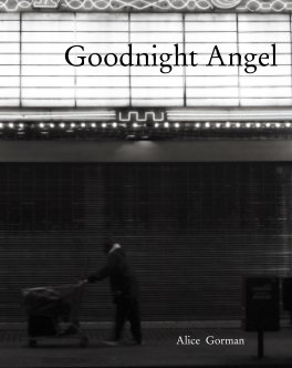 Goodnight Angel book cover