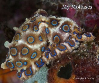 My Molluscs book cover