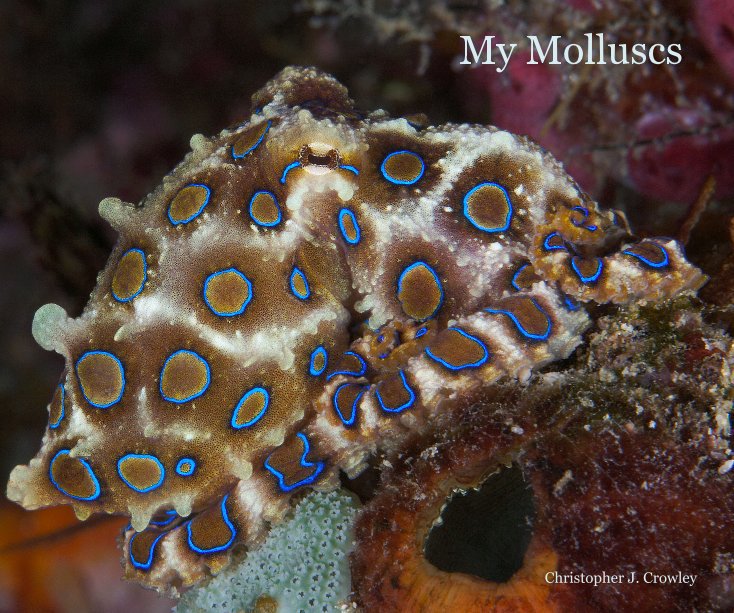 Ver My Molluscs por Christopher J. Crowley