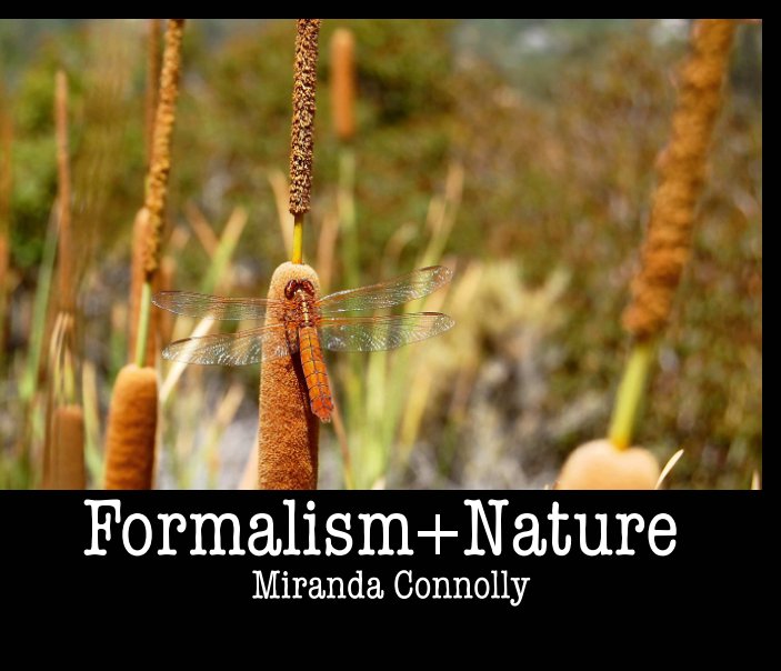 Visualizza Formalism+Nature di Miranda Connolly