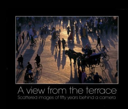 A view  from the terrace book cover