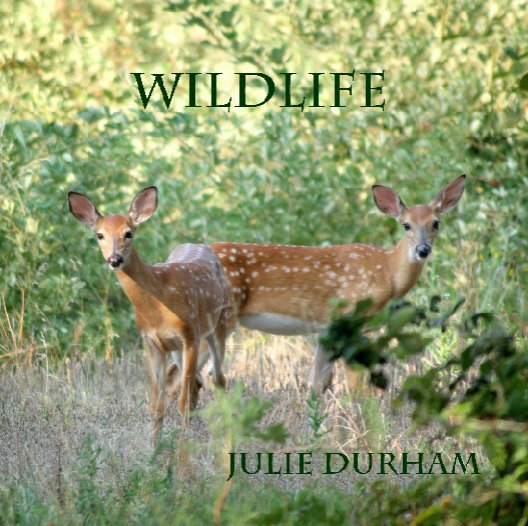 Bekijk wildlife op juliedurham