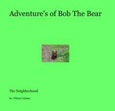 Adventure's of Bob The Bear book cover