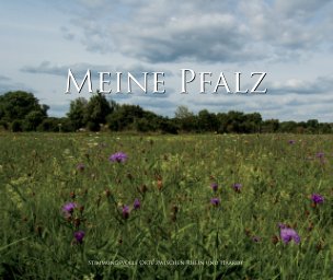 Meine Pfalz book cover