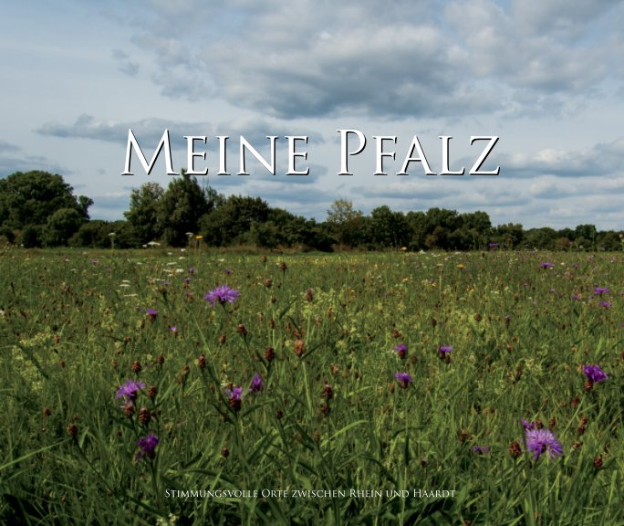 View Meine Pfalz by Klaus D. Litzel