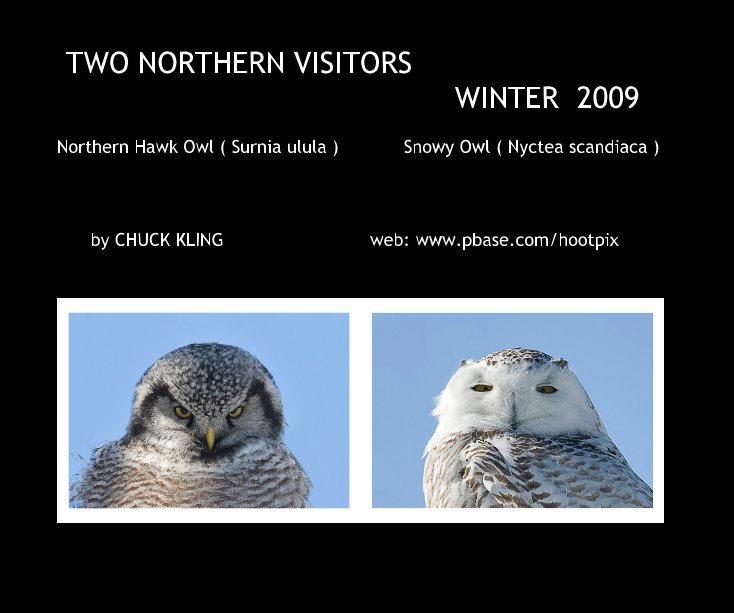 View TWO NORTHERN VISITORS WINTER 2009 by CHUCK KLING web: www.pbase.com/hootpix