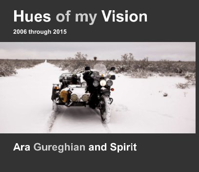 Hues of my Vision book cover