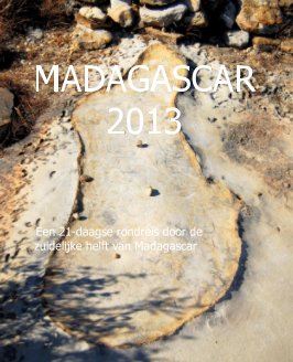 Madagascar 2013 book cover
