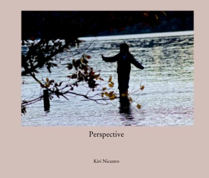 Perspective book cover