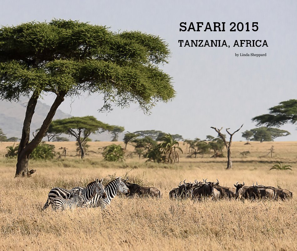 Ver Safari 2015 Tanzania, Africa por Linda Sheppard