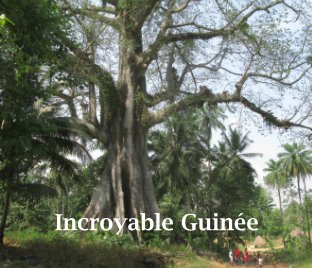 Incroyable Guinée book cover