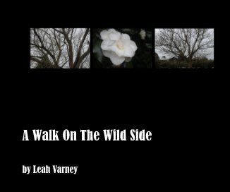 A Walk On The Wild Side book cover